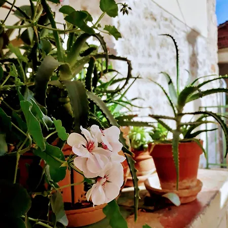 Kuca Ivan Sveti Filip i Jakov